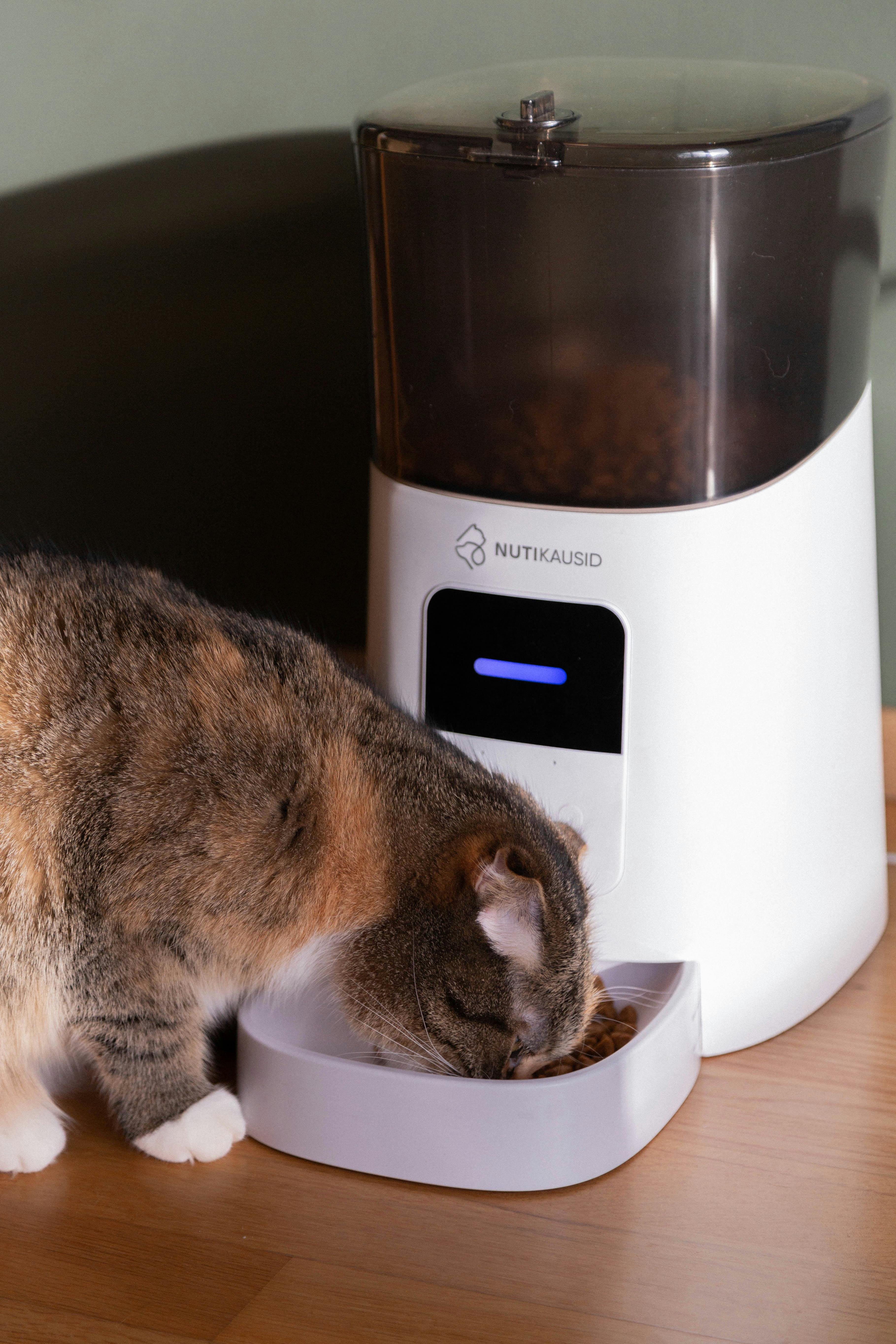 Automatic Pet Feeder